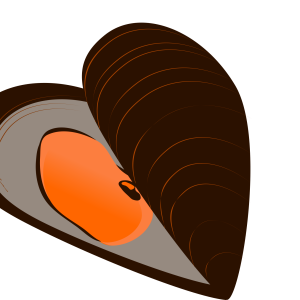 Mussel PNG