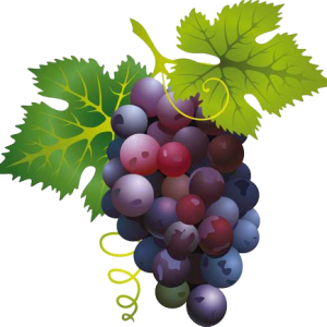 Grape PNG image download, free picture