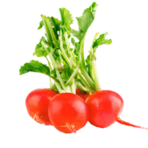 Radish PNG