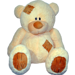 Teddy bear PNG