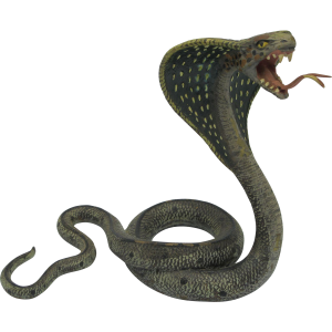 Cobra PNG