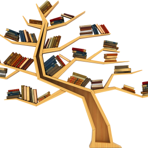 Bookshelf, bookcase PNG