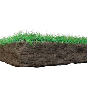 Soil PNG