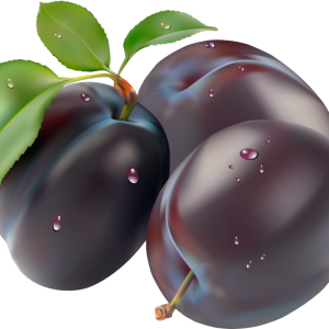 Plum PNG image