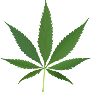 Cannabis PNG