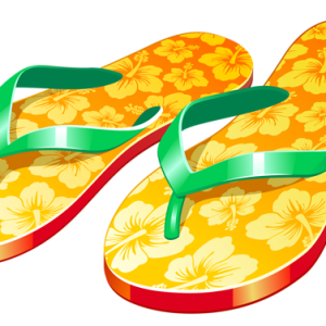 Flip-flops PNG