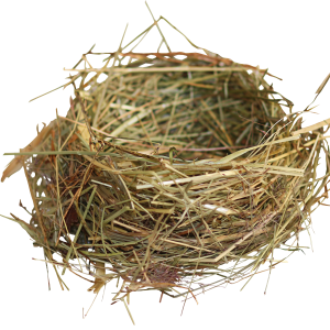 Nest PNG