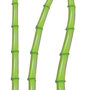 Bamboo PNG
