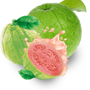 Guava PNG