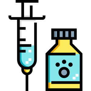 Vaccine Covid-19 PNG
