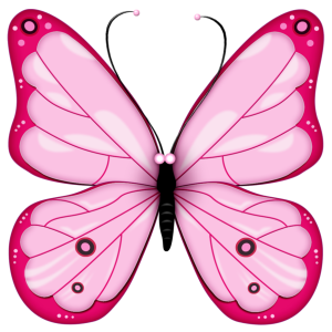 Pink butterfly PNG image, butterflies