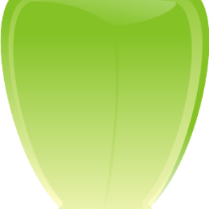 Sky lantern PNG