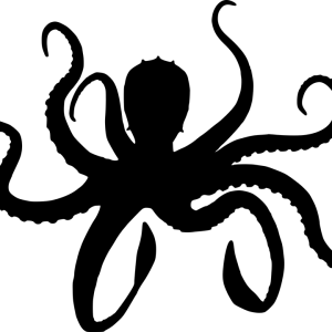 Octopus PNG