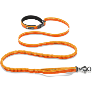 Leash PNG