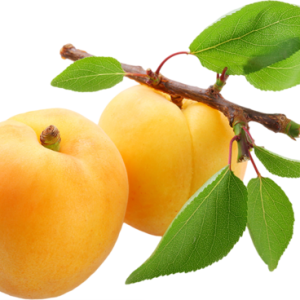 Apricots with leaves PNG