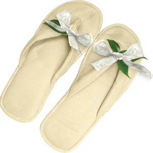 Slippers PNG