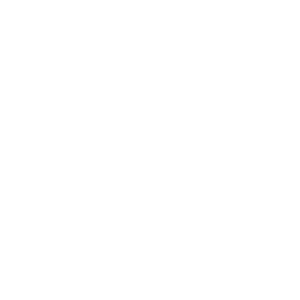 Feather PNG