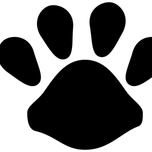 Paw PNG
