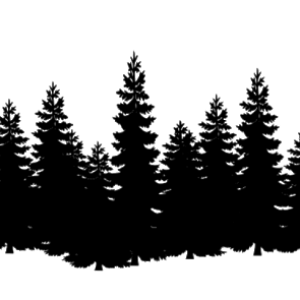 Forest PNG