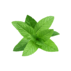 Pepermint PNG