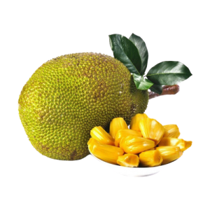 Jackfruit PNG
