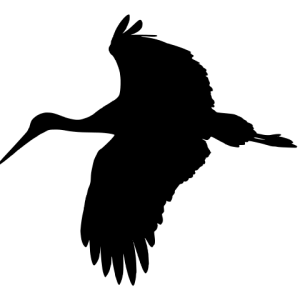 Stork PNG