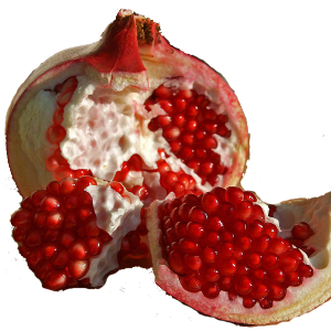 Pomegranate PNG image