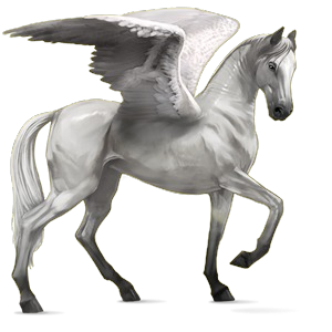 Pegasus PNG