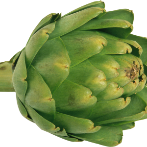 Artichoke PNG image