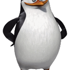 Madagascar penguins PNG
