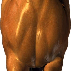 brown horse png image, free download picture, transparent background