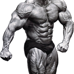 Bodybuilding PNG