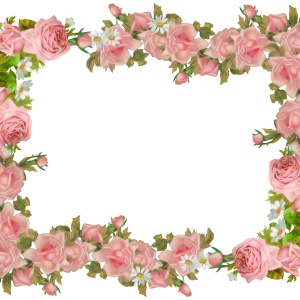 Floral frame PNG