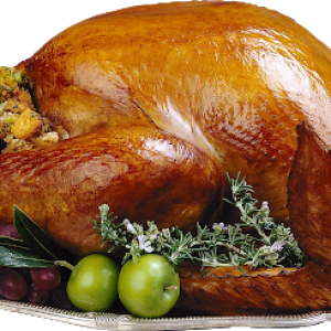 Christmas Turkey PNG
