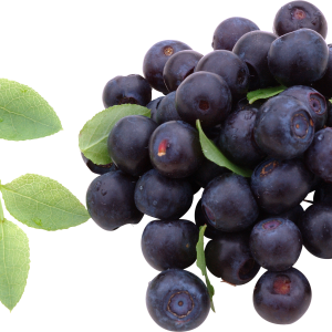 Blueberries PNG
