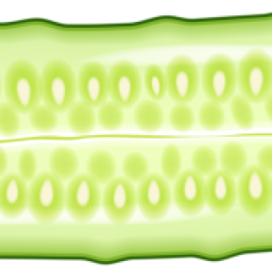 Cucumber half PNG