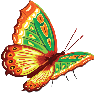 Butterfly PNG