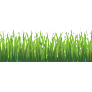 Grass PNG