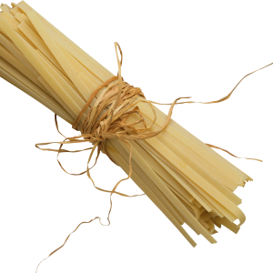 Pasta PNG