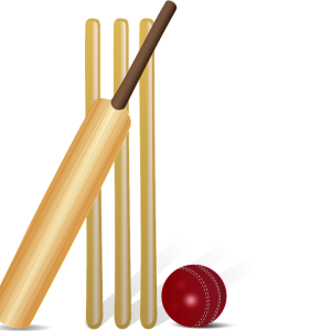 Cricket PNG