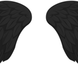 Wings PNG