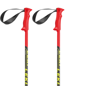 Trekking pole PNG