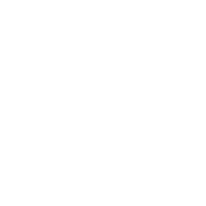 Skype white logo PNG