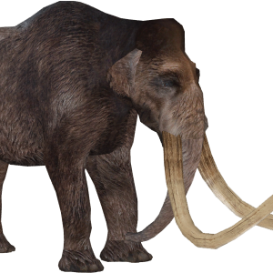 Mammoth PNG