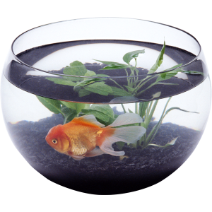 Aquarium PNG