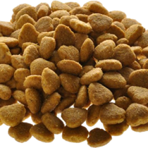 Dog food PNG