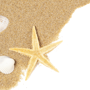 Beach PNG