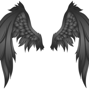 Wings PNG