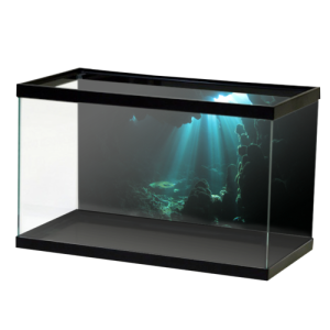Aquarium PNG