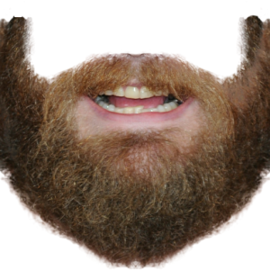 Beard PNG image